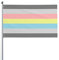 Demiflux Demi Gender Pride Flagge Willkommensfeier Outdoor Outdoor Dekorationen Picks Home House Garden Yard Decor 91 x 152 cm große Flagge