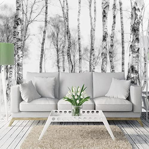 Papier Peint Panoramique Bouleau Noir Et Blanc Papier Peint Intissé 3D Tapisserie Poster Decoration Murale Chambre Salon