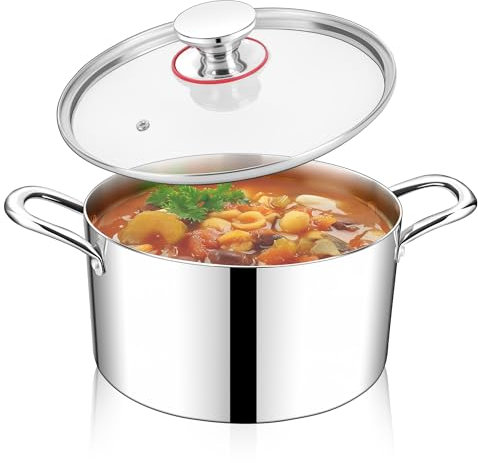 HaWare Olla de acero inoxidable con tapa de cristal (22 cm)