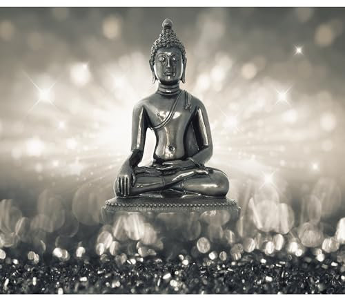 murando PREMIUM Fototapete Buddha 350x256 cm Vlies Tapeten Wandtapete XXL Moderne Wanddeko Design Wand Dekoration Wohnzimmer Schlafzimmer Büro Flur Orient Zen h-C-0011-a-c