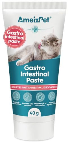 AmeizPet Gastro Intestinal Paste For Cats, Gastro Intestinal Support For Gut Health And Intestinal Flora, Digestive Support Supplement For Cats And Kittens, 40g (1.4 Oz)