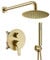 TIPOK Duschsystem in gebürstetem Gold, mit 20,3 cm rundem Duschkopf und Handbrause, Regenduschen-Armaturen-Komplettset, Duschkopfsystem, Wandmontage, für Badezimmer