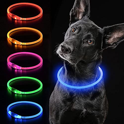 iTayga leuchthalsband Hund, USB-aufladbar und wasserdicht hundehalsband, verstellbare Länge, Sicherheitshalsband für Hunde und Katzen, 3 Modi, Blau
