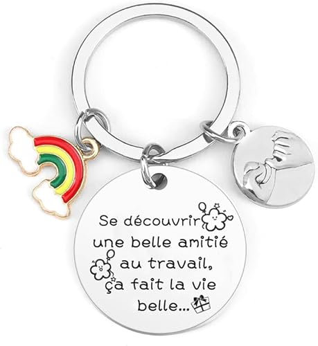 VZIUYTRE Cadeau Départ Collègue Porte Clés Depart Collegue de Travail Femme Clef Idee Meilleur Amie Anniversaire Porte-clés l'amitié pour Collègues, Amis, unisexe, Argenté… (4)