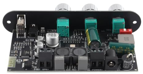 Durlo Scheda amplificatore mono ZK-1001U da 100 W con TWS Bluetooth USB AUX per veicoli da 9 a 24 V