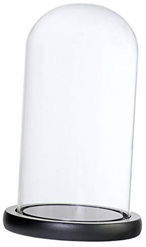 MagiDeal Cloche de en Verre avec Couvercle en Bois de Support de Paysage des Fleurs, Noir d
