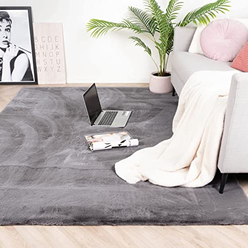FRAAI | Home & Living Hochflor Teppich - Comfy Supreme Anthrazit - Shaggy, Einfarbig - Modern, Skandinavisch - Wohnzimmer, Esszimmer, Schlafzimmer - Fellteppich - Carpet