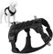 Plutus Pet Tactical Dog Harness, All Metal Buckles, No Pull Service Dog Vest with Handle, Adjustable Military Dog Harness with Hook & Loop Panels, for Small Medium Large Dogs, Black, S
