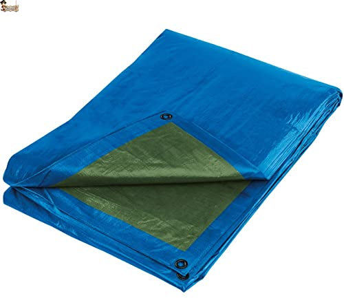 BricoLoco.com Toldo Lona Impermeable Multiuso Exterior. 5x8 MTS. ¡¡Reforzado!! Cubretodo cobertor leña, Remolque, Piscina, Mueble jardín. (80 grs. Azul/Verde, 5x8 MTS.)