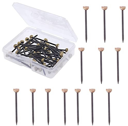 50Pcs Picture Hanging Nails 25mm Brass Head Hanging Pins Picture Frame Hangers, Brass Wall Pins, Picture Hang Solutions Plaster with Plastic Storage Box for Picture Photo Frames Walls Hanging