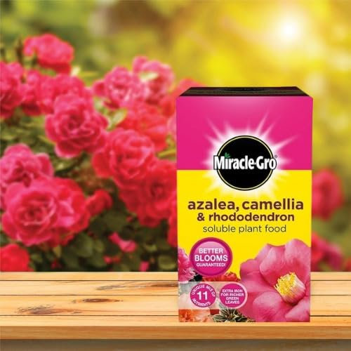 Azalea, Camellia & Rhododendron Soluble Plant Food - Essential Organic Soluble Fertilizer Flower, Vegetable & Fruit Feed - Plant Food for Indoor & Outdoor (500 Gram)