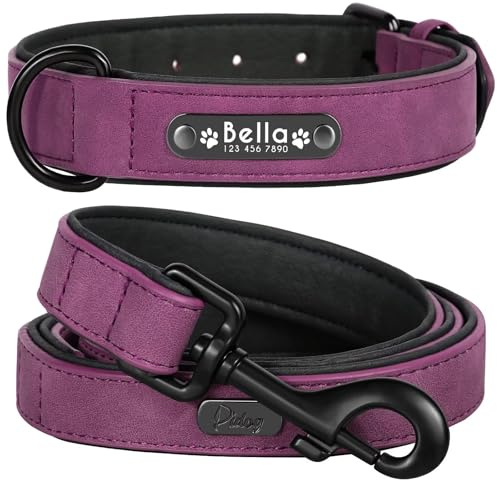 Didog Hundehalsband, weiches, gepolstertes, Leder, mit personalisierbarem, graviertem Namensschild, D-Ring. Für kleine und mittelgroße Hunde geeignet.