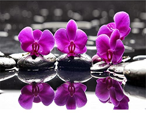 YSCOLOR Diamond Painting 2019 Diamantmalerei Blume Orchidee komplett, rund, Diamant-Nähset, Kreuzstich, Stickerei 2019, Inlay Aktivität, 30 x 40 cm