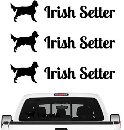 siviwonder Irish Setter Red Aufkleber 3er Set Hundeaufkleber Hundemotiv Hund Folie Farbe Schwarz, Größe 10cm