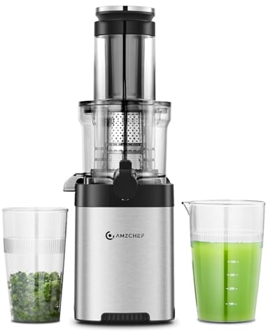 AMZCHEF Extracteur de Jus de Fruits et Légumes Slow Juicer Presse à Froid Machine avec moteur silencieux/tasse à jus/brosse de nettoyage/adapté à tous les Fruits et Légumes (Gris)