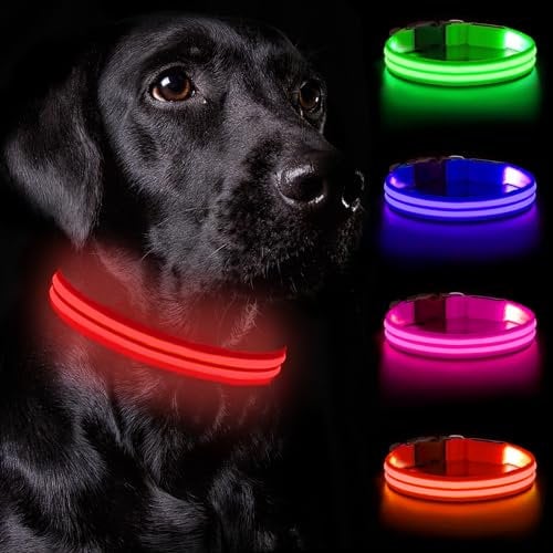 Nepfaivy Leuchthalsband Hund USB Aufladbar - Hundehalsband Leuchtend Wasserdicht mit Verstellbarer Länge, LED Halsband Hund für Große Hunde mit 3 Beleuchtungsmodi für Nacht Sicherheit, Rot - L
