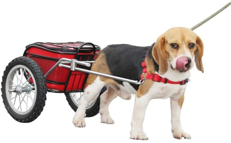 LZAHSH Hunde-Ziehwagen,Hunde-Rollwagen FüR 10-30kg Haustier HundeanhäNger Brustgurt Verstellbar Leicht Zu Tragen Haustier-Pull-Wagen,FüR MittelgroßE Hunde
