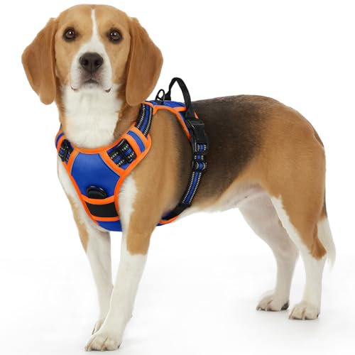 Eagloo Hundegeschirr Kleine Hunde, Anti Zug Hundegeschirr mit Reflexstreifen und Kontrolle, Verstellbar, Einstellbar und Langlebige Brustgeschirr Hund, Geeignet zum Gehen, Blau & Orange, S
