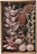 Trockenblüten Potpourri Set Pearl Pink, 100 g