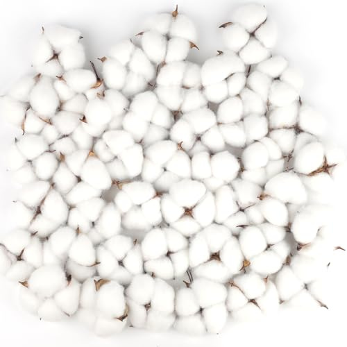 Larber 50 Stück Baumwolle Zweig Natürlich deko künstliche zweige Baumwolle Blumenkopf Getrocknete für die perfekte Hochzeit Blumen Arrangements Heim Decor DIY Dekoration Home Party