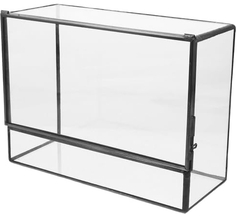 LALAFINA Terrarium Vide en Verre et Étain, Petit Terrarium, Support de Micro-Paysage Soi-même, pour Mousse et Plantes, Table à Manger, Surface Lisse