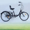 MINUS ONE Dreirad Für Erwachsene Erwachsenen Dreirad Fahrrad Mit 3 Rädern Seniorenrad Lastenfahrrad 24 6-Gang-Schaltung mit Licht (Schwarz ohne Licht)