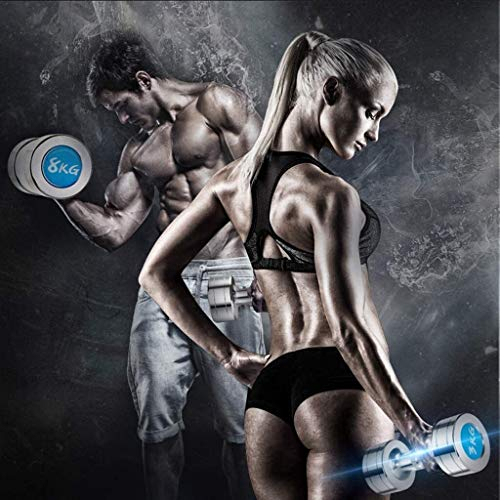 Fitness-Hanteln für Damen, Anfänger, Paar kleine Hanteln, Yoga, Aerobic, Hilfshanteln, Heim-Freizeit-Sportgeräte, Hanteln, Hanteln, Hanteln-Set (Silber, 2 kg x 2)