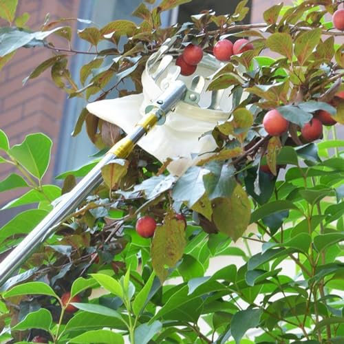 Extension Pole For Fruit Picking Harvesting, Apple Orchard Tree Gathering Tool Mango Catcher Poles Orchard Picker For Garden Agricultural Gathering, 8 10 16 23 32 Ft Long(Color:A,Size:300CM/9.8FT)