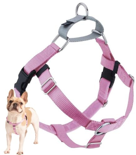 2 Hounds Design Freedom No-Pull No Leash Harness Only, 1-Inch, Large, Rose