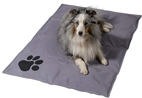 dobar® 60422 Kühlmatte für Hunde - Hundekühlmatte für Hund & Katze - selbstkühlende Matte für Haustiere - Hundedecke mit Kaltgel-Füllung - Kühldecke - 99,5 x 70 cm - Grau