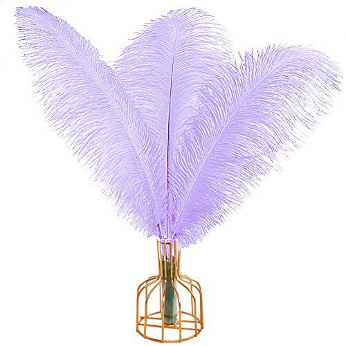 THARAHT 12 pièces de plumes d'autruche lavande naturel en vrac 20-22 pouces 50 cm - 55 cm pour les pièces de centre de fête de mariage Pâques Gatsby & Home Decor plumes d'autruche