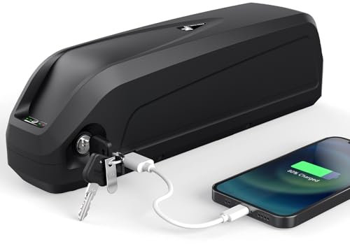 48V 20Ah Ebike batteria al litio con caricabatterie Hailong batteria adatta per 100W-1500W motore