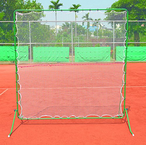 Pro 's Pro Tennis Rebound Netz