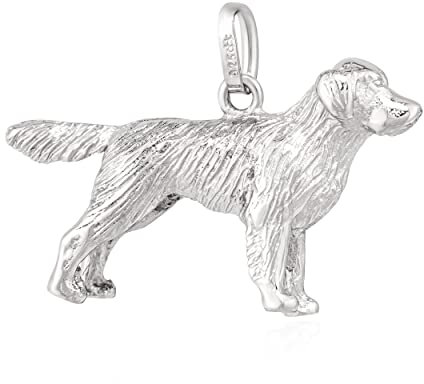 NKlaus Kettenanhänger Golden Retriever Schlaufe 925 Silber Silberanhänger rhodiniert 13745