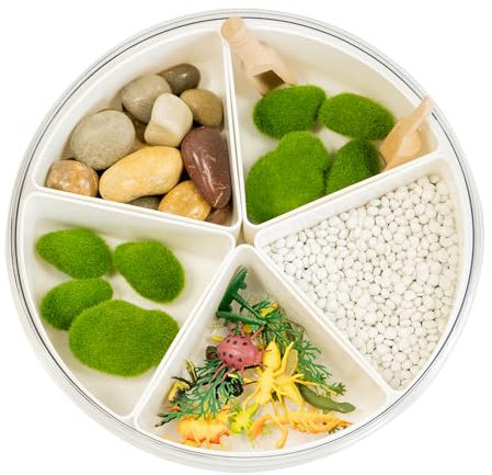 MagicMeadow Insect Sensory Kit for Kids | Autism-Friendly Sensory Play Tray & Bin | Montessori Toys for Toddlers & Kids | Sensory Tray & Box | Engaging Sensory Toys