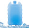 Ceprznvey - Bolsas de gel para refrigerador de aire, bolsas de gel portátiles para enfriar bebidas, bolsa de refrigeración, accesorios para refrigerador portátil, para camping, almuerzo, cocina,