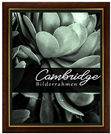 Holz Bilderrahmen Cambridge 40x60 cm in Nussbaum Gold mit Antireflex-Kunstglasscheibe