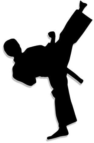 Decus Shop Karate 2929 // Sticker Aufkleber vers. Größe Farbe
