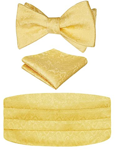 Alizeal Herren Neuheit Paisley Selbstgebundene verstellbare Fliege, Kummerbund und Taschentuch Set, Golden