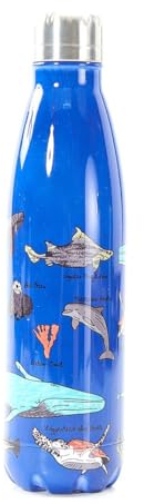 Eco Chic T06 Thermal Bottle, stainless_steel, 500 milliliters