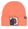 Goorin Bros. Mütze Unisex für Erwachsene, Koralle (On the Hunt), One size