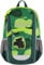 Step by Step Rucksack-Set KIGA Maxi „Little Wild Cat Chiko“, Separates Innenfach, ergonomischer Rucksack mit höhenverstellbarem Brustgurt, für Kita, Kindergarten & Freizeit, ab 3 Jahren, 10 l, grün