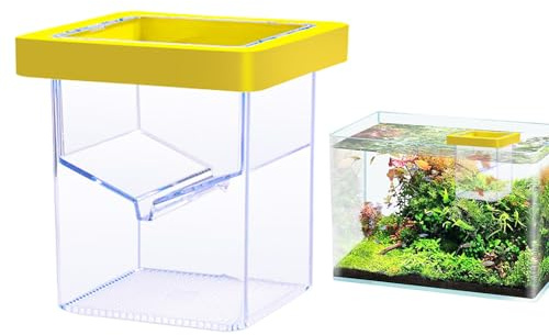 Für Aquarienfische, zur Zucht von Aquarien, transparenter Tank, Inkubator für Alevines, Brutkasten, für Babyfische, kleine Isolierung, Paar
