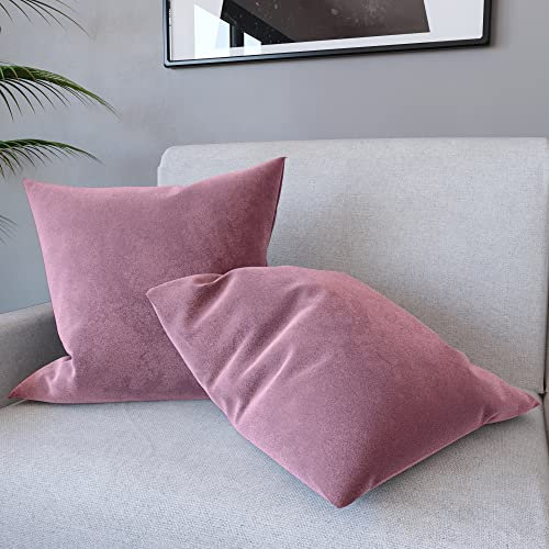 Set di 2 Federe Per Cuscini In Velluto Morbido e Resistente Copricuscini Per Divano Poltrona Soggiorno Arredo Arredamento Casa Design Moderno Elegante Cerniera Invisibile (50 x 50 cm, Viola Rosa)