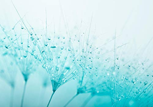 wandmotiv24 Fototapete Pusteblume Türkis, 200 x 140cm - selbstklebende Strukturtapete, Wanddeko, Wandbild, Wandtapete, Blume, blau, Wasser-tropf M0347