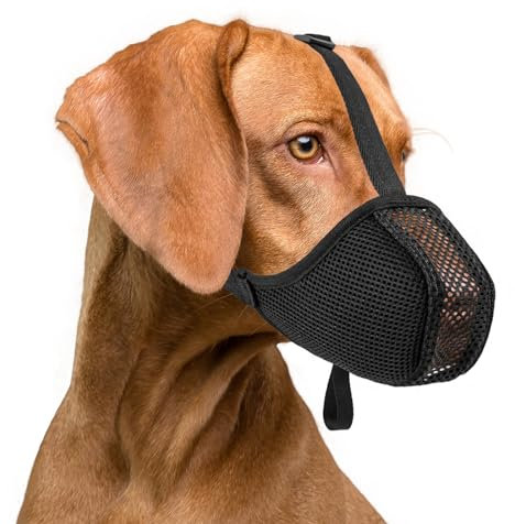 ILEPARK Maulkorb für Hunde, Weicher Netzmaulkorb, Verstellbare Passform für Kleine Mittelgroße Große Hunde, Bequem und Atmungsaktiv, Ermöglicht Keuchen und Trinken(L, Schwarz)