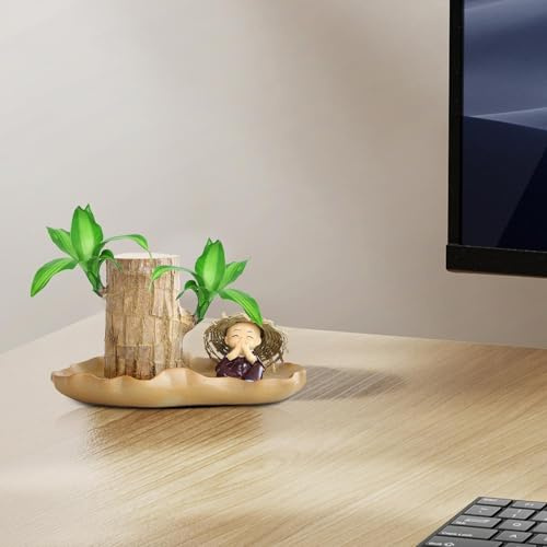4 Inches Brazil Wood | Wood | Brazilian Tree Stump Plants Pots | Air Purifying Hydroponic Potted Plant | Decorative Home Decor Desktop Ornaments