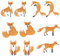 WEBEEDY 10 Stück Fuchs Patch Aufnäher Fuchs Applikation zum Aufbügeln Bügelbilder Sticker Bügel Patches für Kleidung Jeans Jacken Kleidung Stoff Kleider Aufnäher
