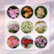 20 Pcs Zephyranthes Zwiebeln - Frühlingsblumen Zwiebeln, Zimmerbonsai Bonsai (Zephyranthes Candida) Deko Blumen, Topfpflanzen Echt Geschenke Für Gartenfreunde, Wildflower Summer Blumen