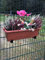 Blumenkastenhalter Doppelstabmattenzaun Blumenkasten Halterung Stabmattenzaun Halter Zaun Gartenzaun Haken Befestigung Blumentopf Balkonkasten Doppelstabmatte (1x Set 200mm)
